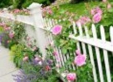 Kwikfynd Garden fencing
cowalellup